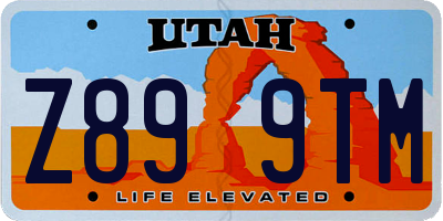UT license plate Z899TM