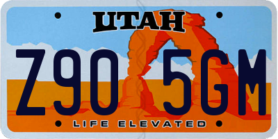 UT license plate Z905GM
