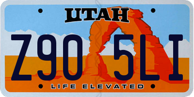 UT license plate Z905LI