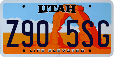 UT license plate Z905SG