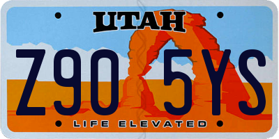 UT license plate Z905YS
