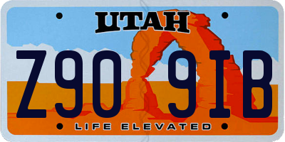 UT license plate Z909IB