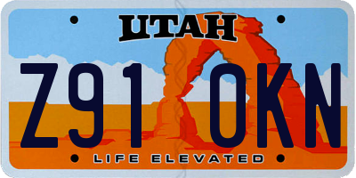 UT license plate Z910KN