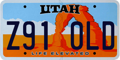 UT license plate Z910LD