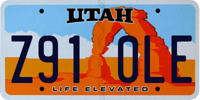 UT license plate Z910LE