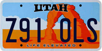 UT license plate Z910LS