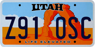 UT license plate Z910SC