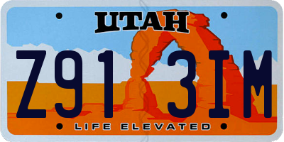 UT license plate Z913IM