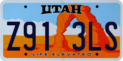 UT license plate Z913LS