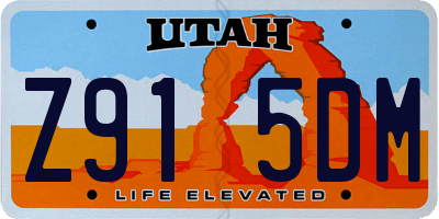UT license plate Z915DM