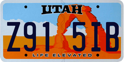 UT license plate Z915IB