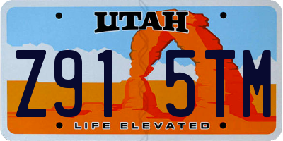UT license plate Z915TM