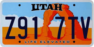 UT license plate Z917TV