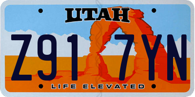 UT license plate Z917YN