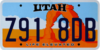 UT license plate Z918DB
