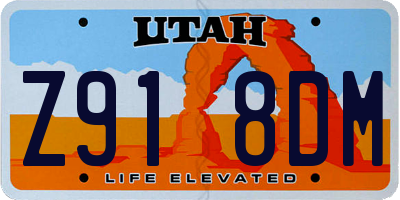 UT license plate Z918DM
