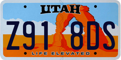 UT license plate Z918DS