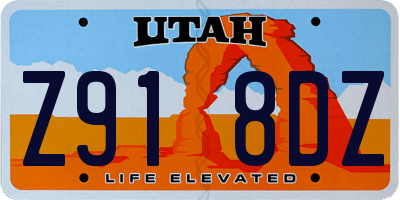 UT license plate Z918DZ