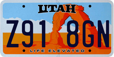 UT license plate Z918GN