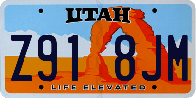 UT license plate Z918JM