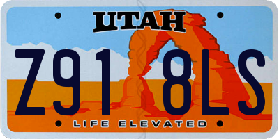 UT license plate Z918LS