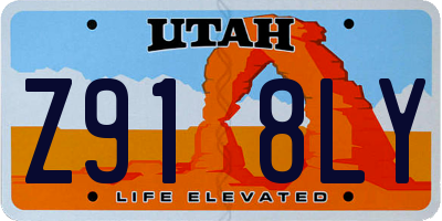UT license plate Z918LY