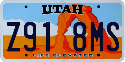 UT license plate Z918MS