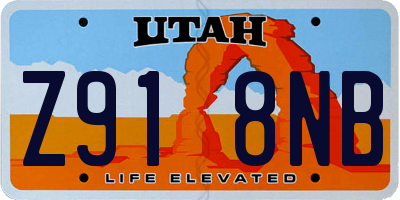 UT license plate Z918NB