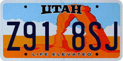 UT license plate Z918SJ