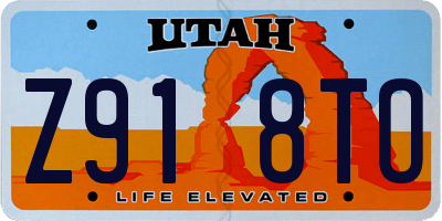 UT license plate Z918TO