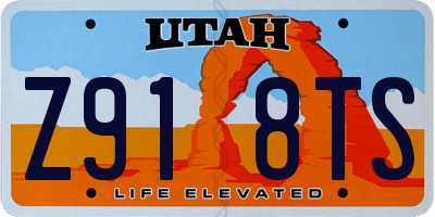 UT license plate Z918TS