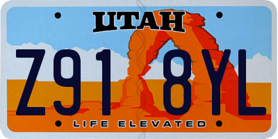 UT license plate Z918YL