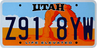 UT license plate Z918YW