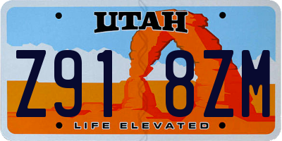 UT license plate Z918ZM