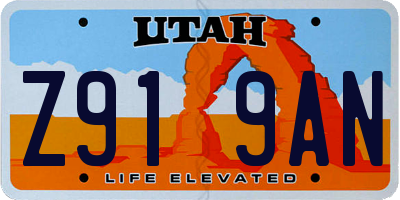 UT license plate Z919AN