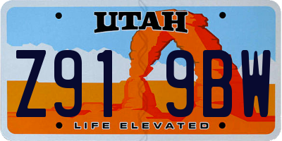UT license plate Z919BW