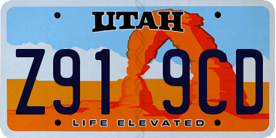 UT license plate Z919CD