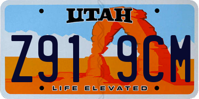 UT license plate Z919CM