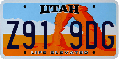 UT license plate Z919DG