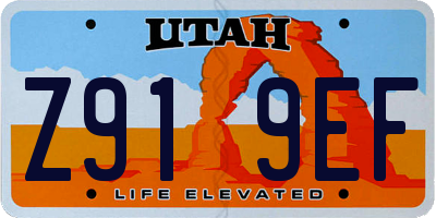 UT license plate Z919EF