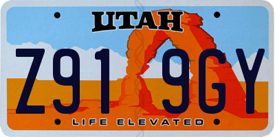 UT license plate Z919GY