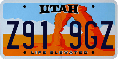 UT license plate Z919GZ