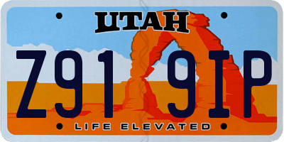 UT license plate Z919IP