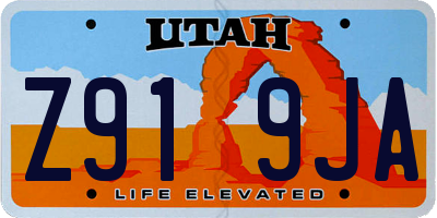 UT license plate Z919JA