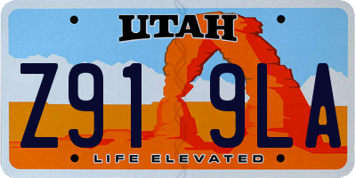 UT license plate Z919LA