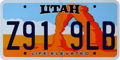 UT license plate Z919LB