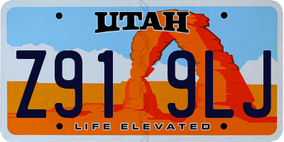 UT license plate Z919LJ