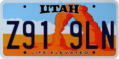 UT license plate Z919LN