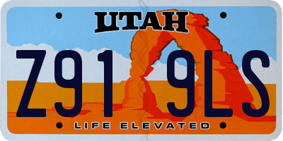 UT license plate Z919LS