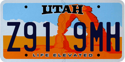 UT license plate Z919MH